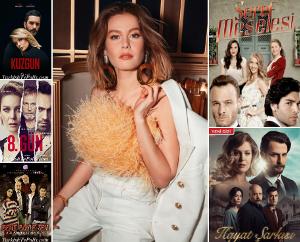 The Best Tv Series of Burcu Biricik