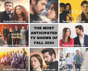 The Most Anticipated TV Shows of Fall 2024